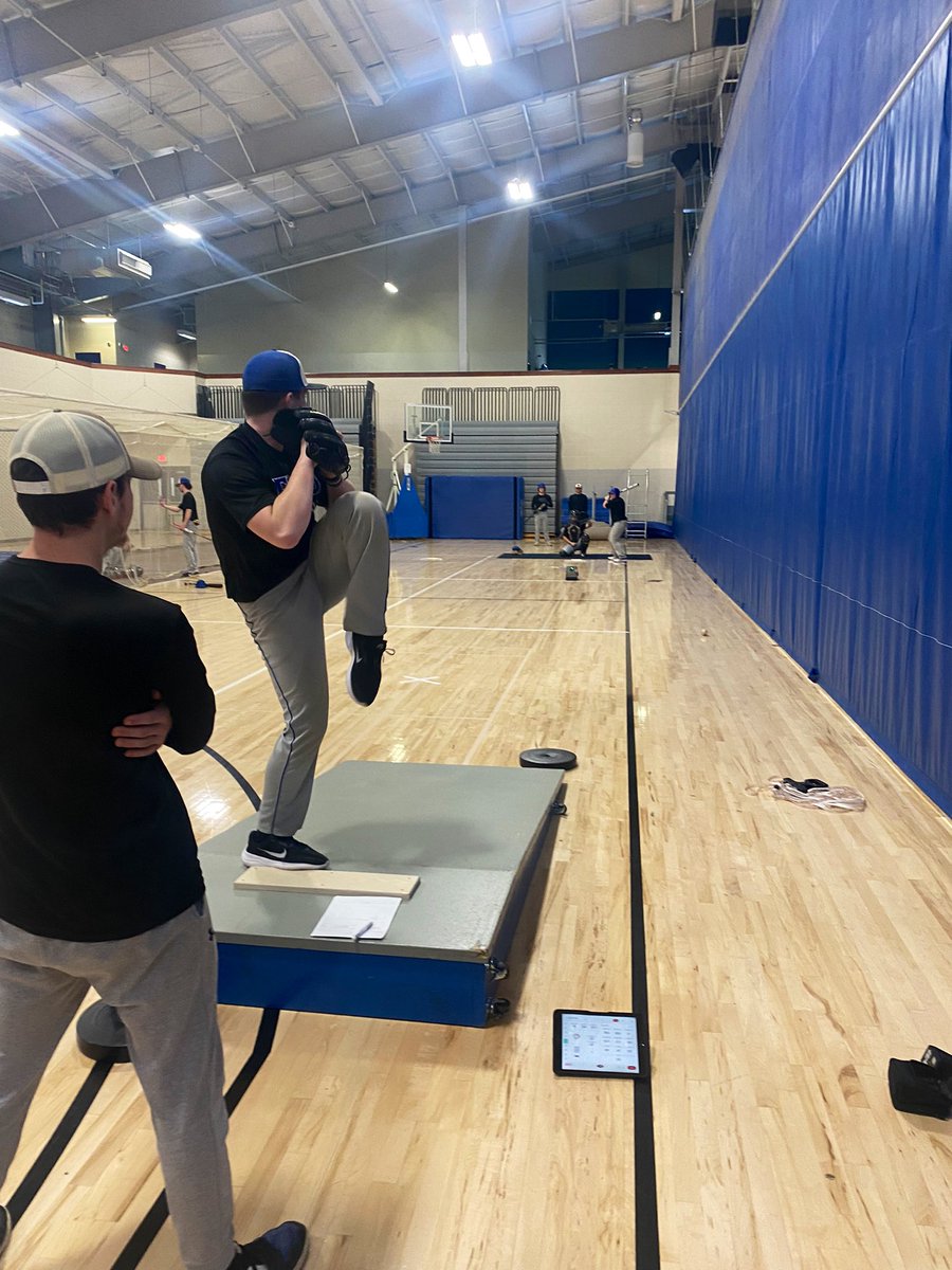 EMU Diamond Royals tweet media