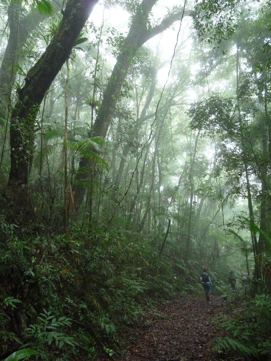 🚨Alerta de Disciplina 🚨

Estão abertas as inscrições para aluno especial no PPG <a href="/ppgbaufms/">Biologia Animal UFMS</a>  - 22 de janeiro a 09 de fevereiro de 2024. 

Entre as disciplinas oferecidas, temos: História Natural Contemporânea, oferecida  pelo <a href="/diegojsantana/">Diego J. Santana 🐍🐢🐸 🇧🇷</a> e por mim, de forma ONLINE. 

....