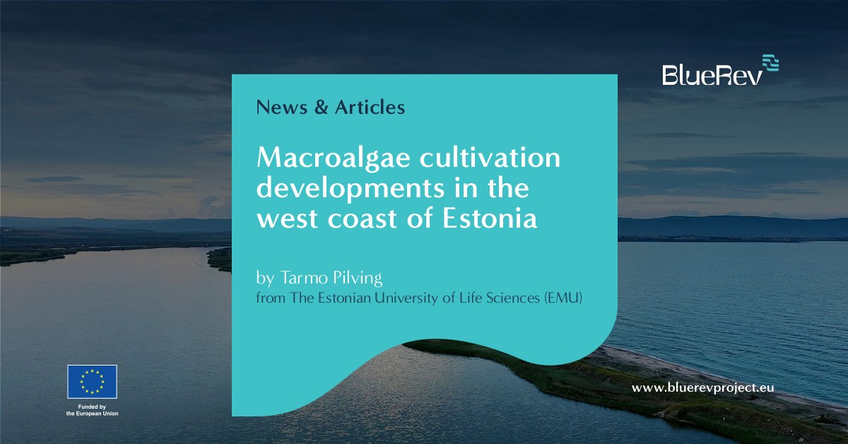 In 2023, Estonia's west coast saw unprecedented growth in the #BlueBioeconomy!🇪🇪
In February of 2023, Kuressaare, Saaremaa's capital, hosted a  conference with leading experts in the field driving sector growth.🌊
Discover the full story & insights here!👇
bluerevproject.eu/macroalgae-cul…