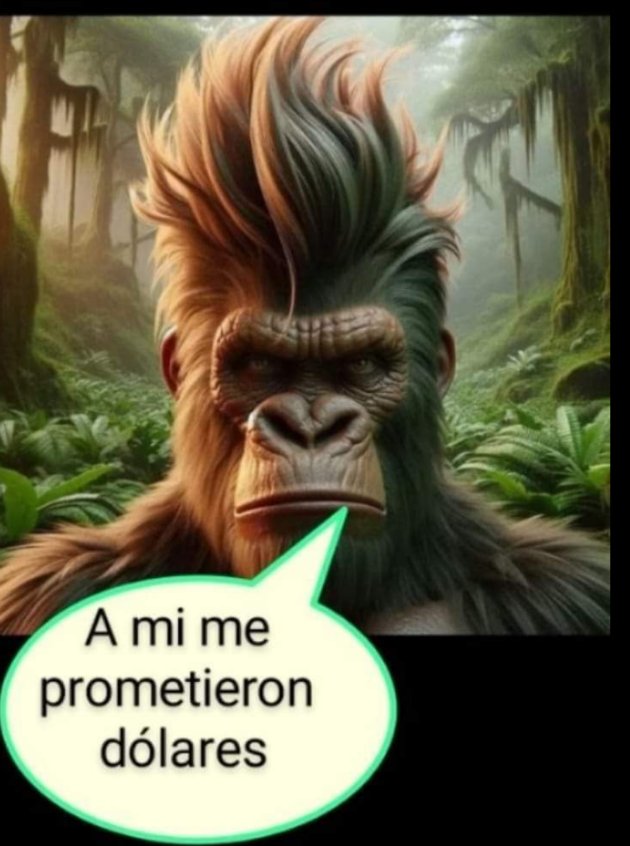 claudio39212411's tweet photo. @ArrepentidosLLA Le.prometieron rucula y va a pagar ganancias jajaja https://t.co/xZn0KWimTd