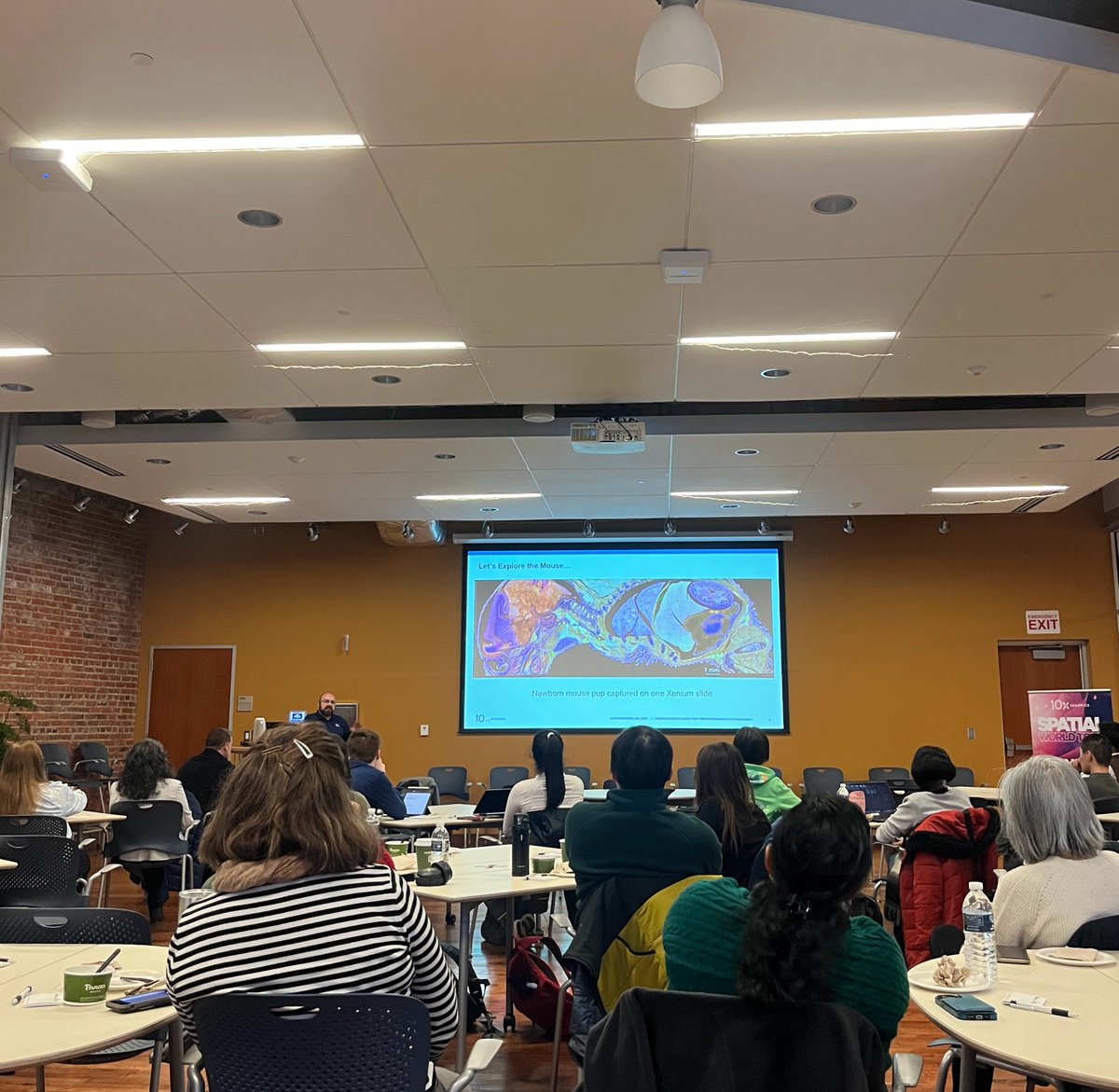 TheGregoryLab's tweet photo. Our Duke Xenium Day is in full swing! 🎉 #Xenium #insitusequencing #SpatialWorldTour https://t.co/tFLnfNldTJ