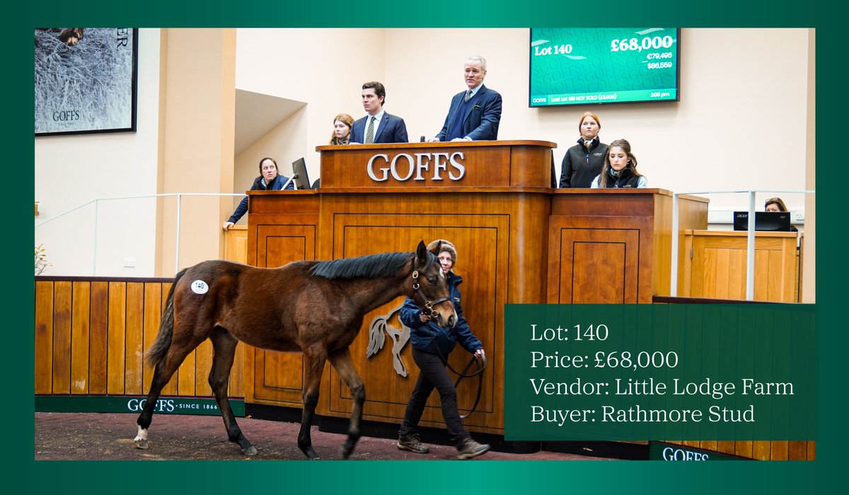 Little Lodge Farm equal today's top price for a NH weanling with another lot from their consignment. 

Lot 140, a Walk In The Park half-brother to the Gr.2 winner Guard Your Dreams, sells to Rathmore Stud @Pmolony1Peter for £68,000. 

#GoffsJanuary