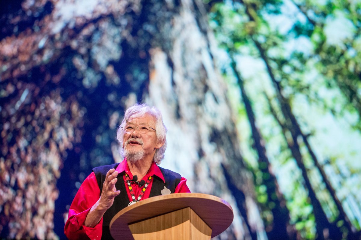 Applications for the new CBC David Suzuki Scholarship in honour of David Suzuki’s lifetime of science/journalism work will open soon for the 2023-2024 school term. Visit our website for more details!