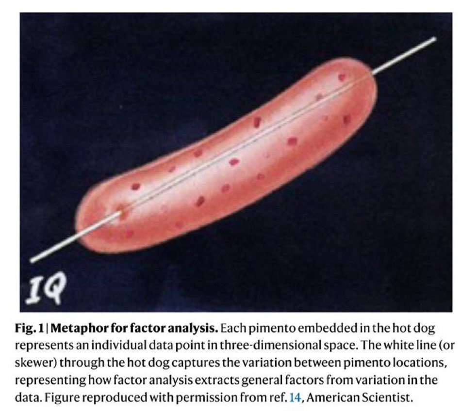 Scientist: “Hey can tell you something about factor analysis?” Other scientist: “Hold on I’m so hungry I can only think about hot dogs with pimentos” Scientist: “I got you fren” via @salonium