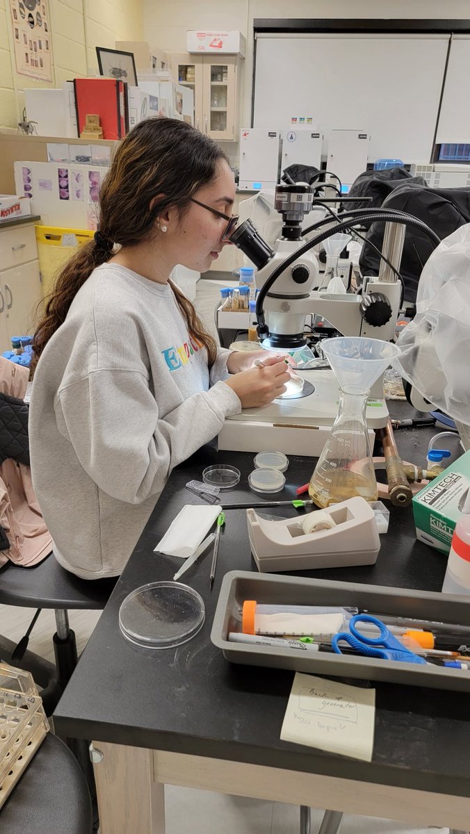 Jeanette Collette tweet media