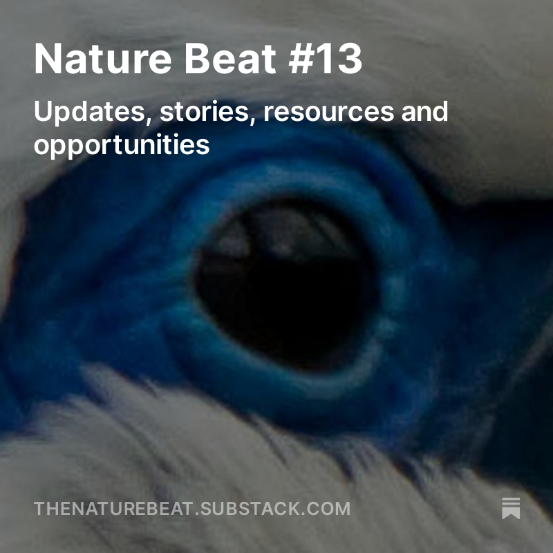 Just published: The new edition of my newsletter for journalists (and anyone else) interested in biodiversity, the ecological crisis and nature-based solutions to climate change. It has news, resources, jobs, great stories, and more. thenaturebeat.substack.com/p/nature-beat-…