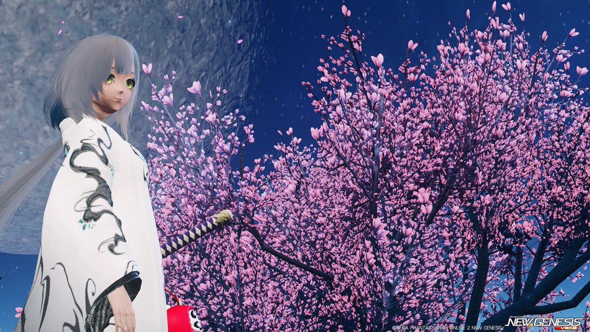 いい夜桜
#PSO2NGS 
#PSO2NGS_SS 
#メンテの日なのでssを貼る