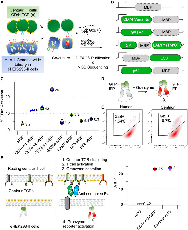 Blake Smith tweet media