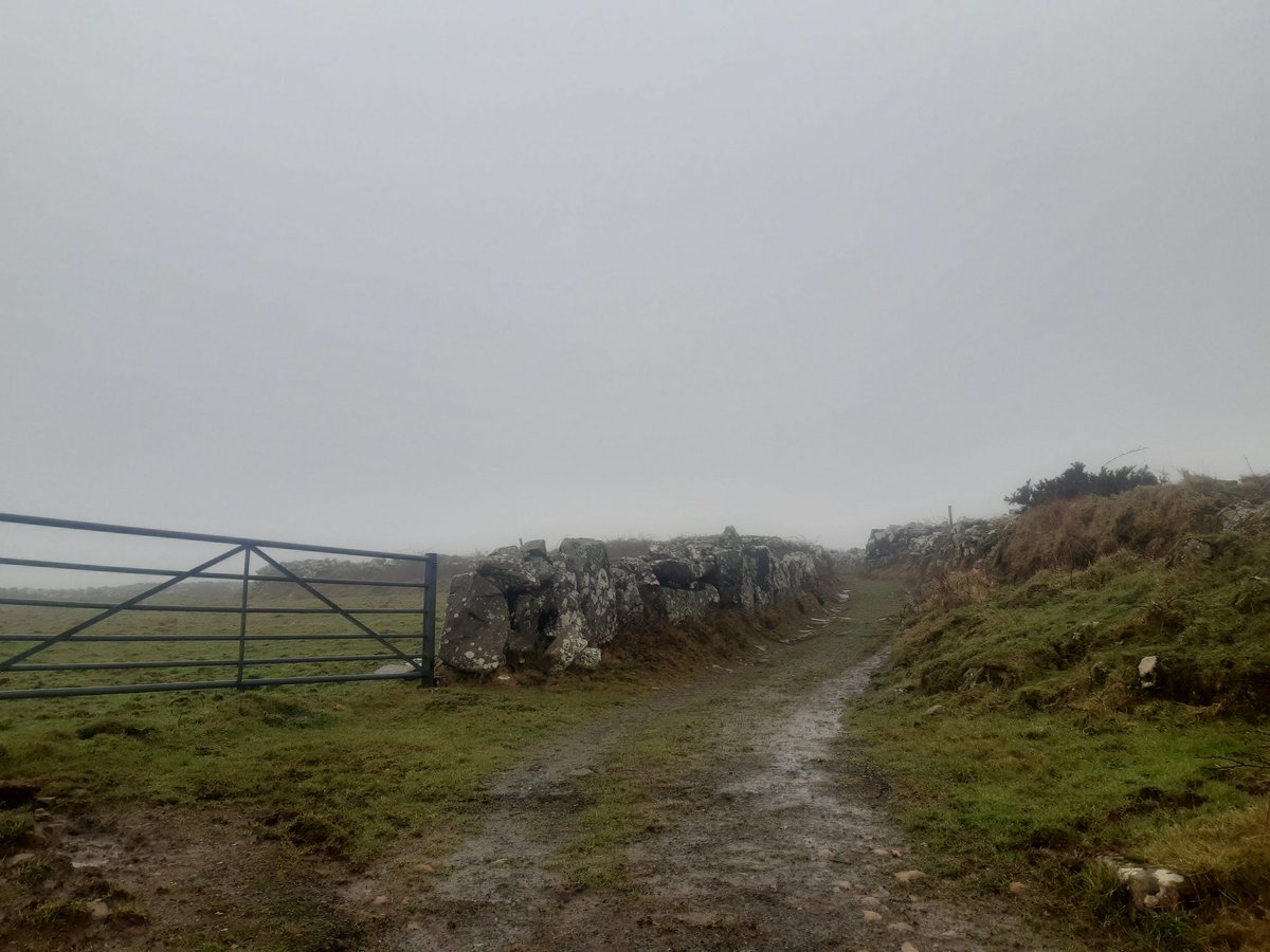 Lizzie Mitchell〓〓 tweet media