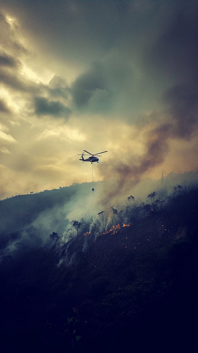 Nicolás Caballero tweet media