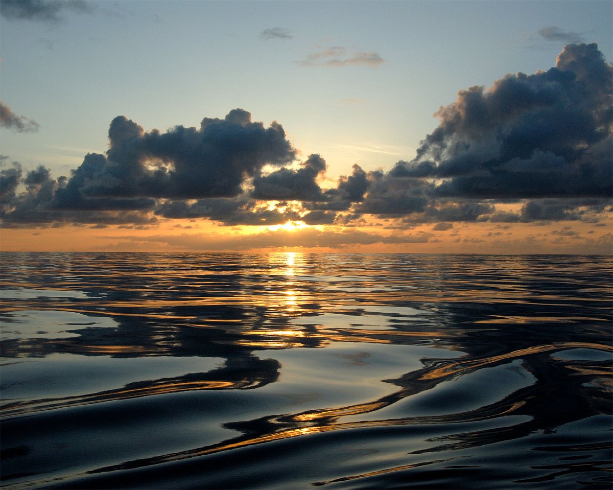 Today’s the day: the #OceanBiodiversitySummit is here! Ocean life knows no political boundaries and touches everyone. Safeguarding our coasts, ocean, and people requires cooperation among all of us. Livestream link goes live at 1:00 pm Eastern: science.si.edu/in-the-ocean/s… 🌊💙