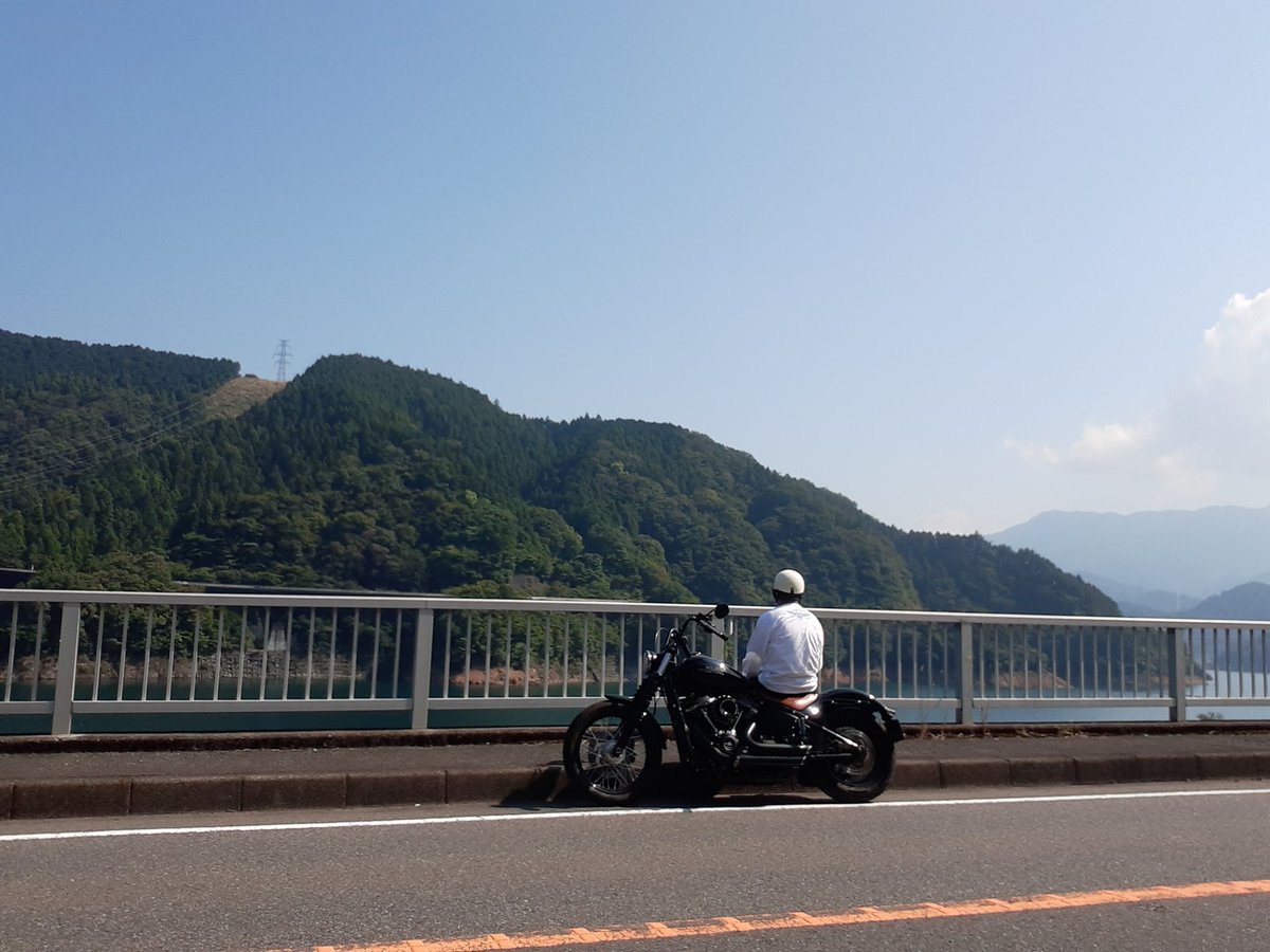 タロウ@ぼぶ tweet media