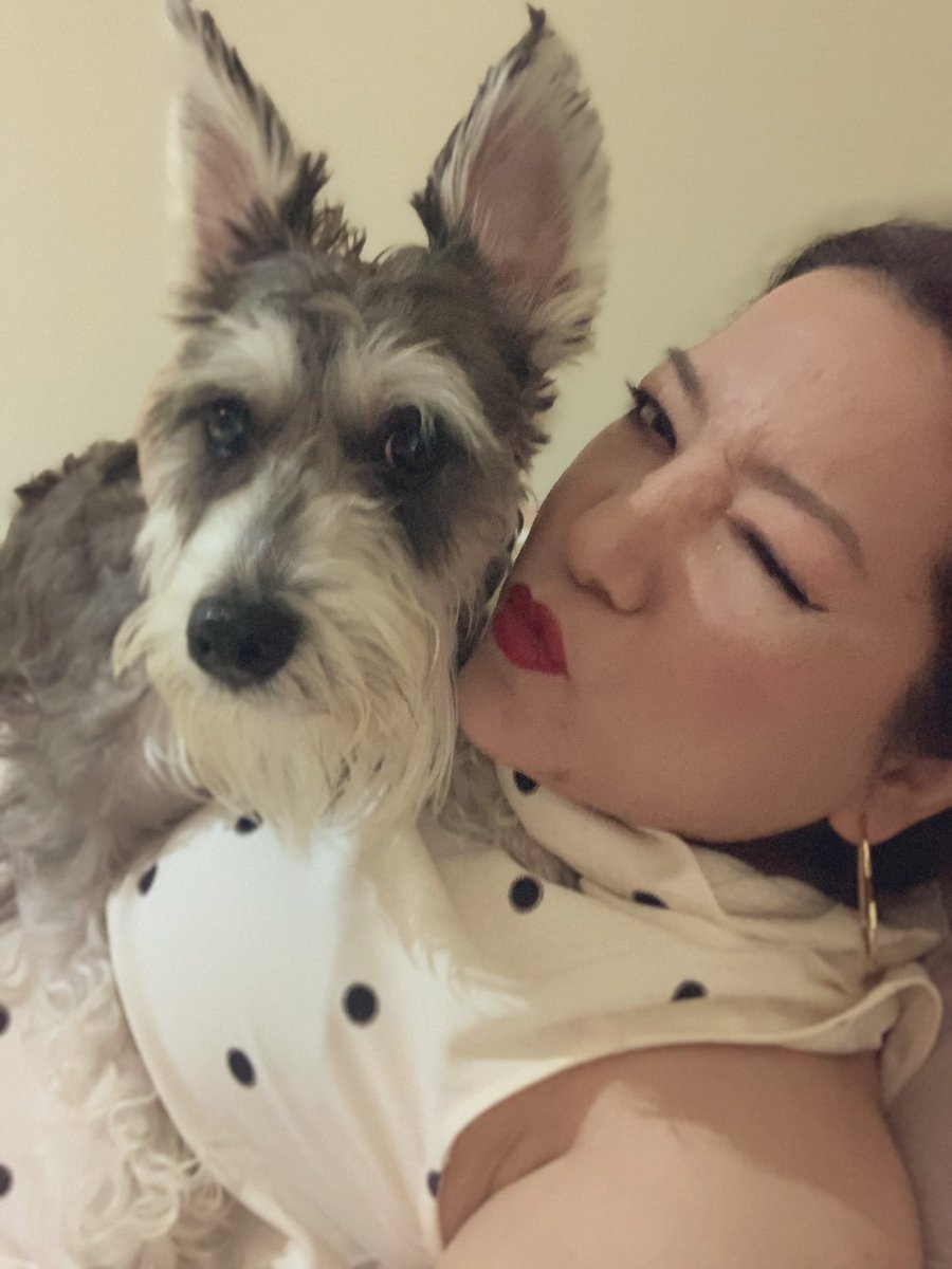 veroniqueag's tweet photo. Lucy 🐾 https://t.co/tG3vSxPgHh