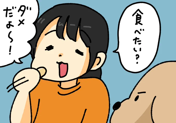 先輩の愛犬を煽るひなちゃん #でんぱちゃん日記