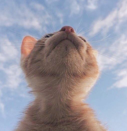 now_is_woo's tweet photo. ☁️ https://t.co/Is4apQppCx