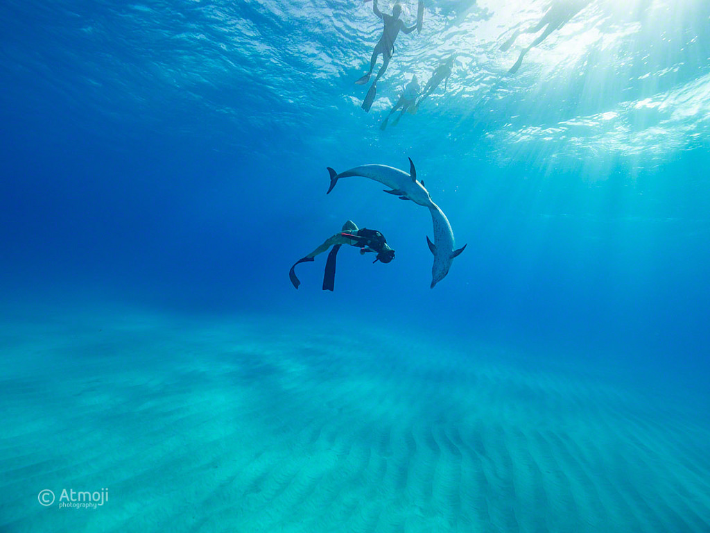 Some souls are already familiar...💙

#wildandfree #TuesdayFeeling #wildlifephotography