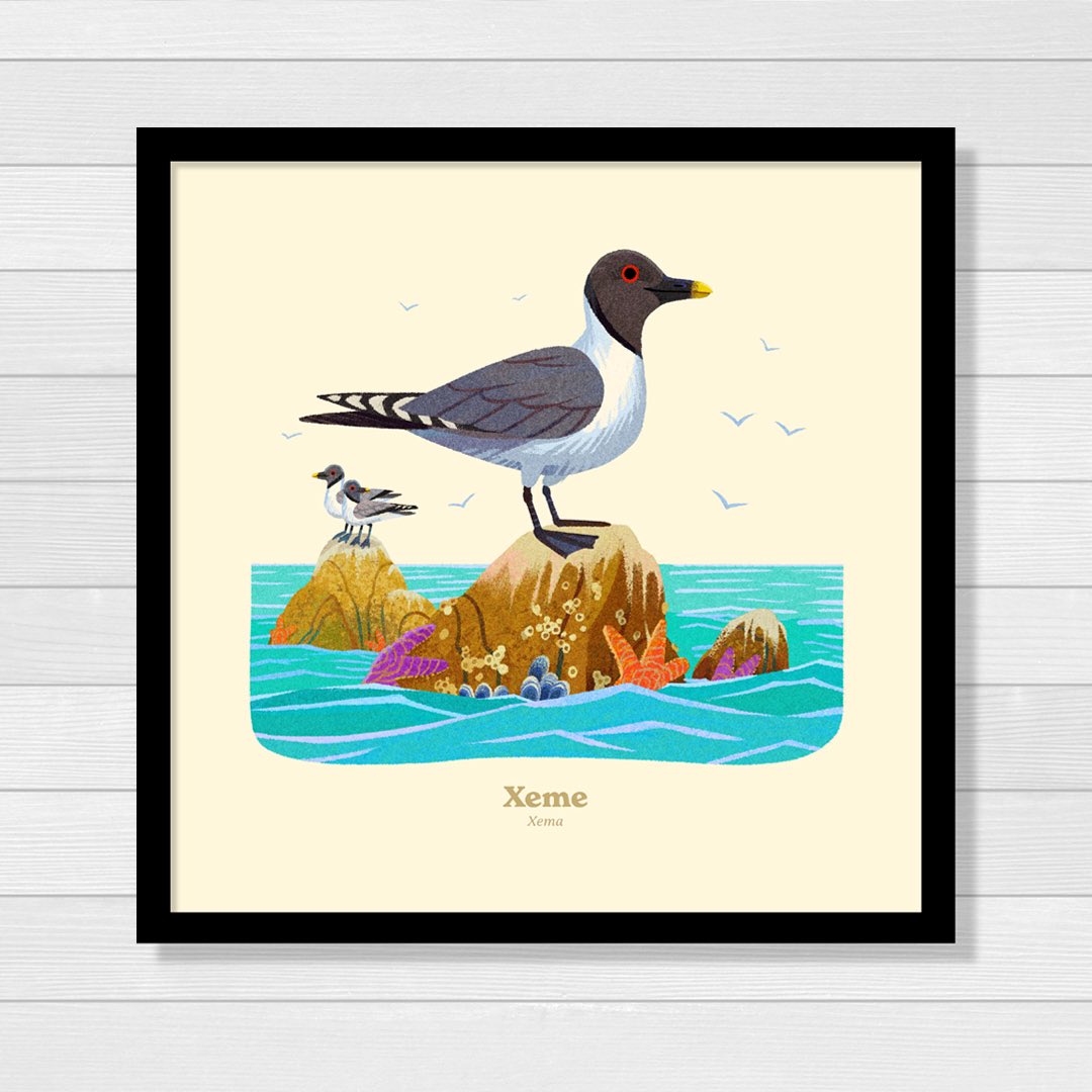 The Xeme lays spotted-olive/brown colored eggs! Artwork from our <a href="/NatlParkService/">National Park Service</a> Animal Alphabet print made with <a href="/Kimdraws/">Kim Smith</a>