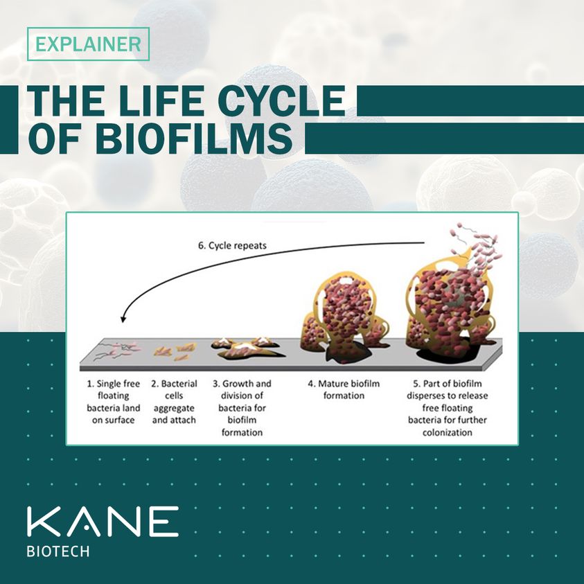 Kane Biotech tweet media