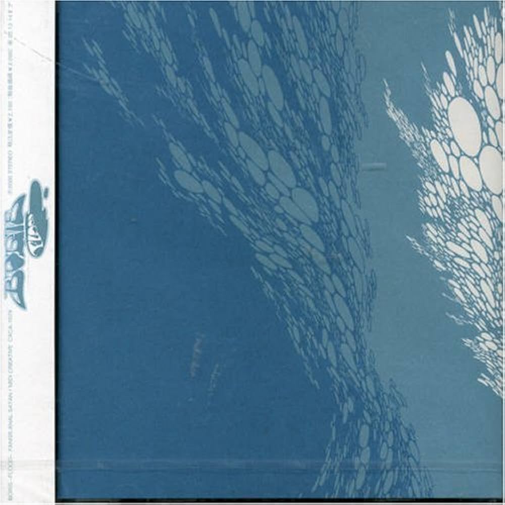 George W’s Kush tweet media