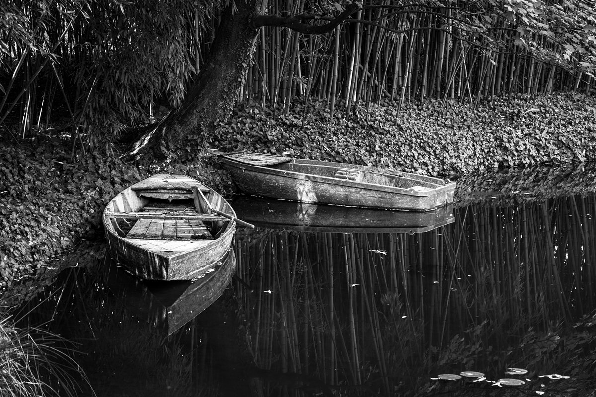 Check out this black and white photo I have for sale of rowboats in a pond at Monet's garden in Giverny, France. 1-stuart-litoff.pixels.com/featured/giver… #giverny #france #french #europe #european #blackandwhite #blackandwhitephotography #rowboats #reflections #garden