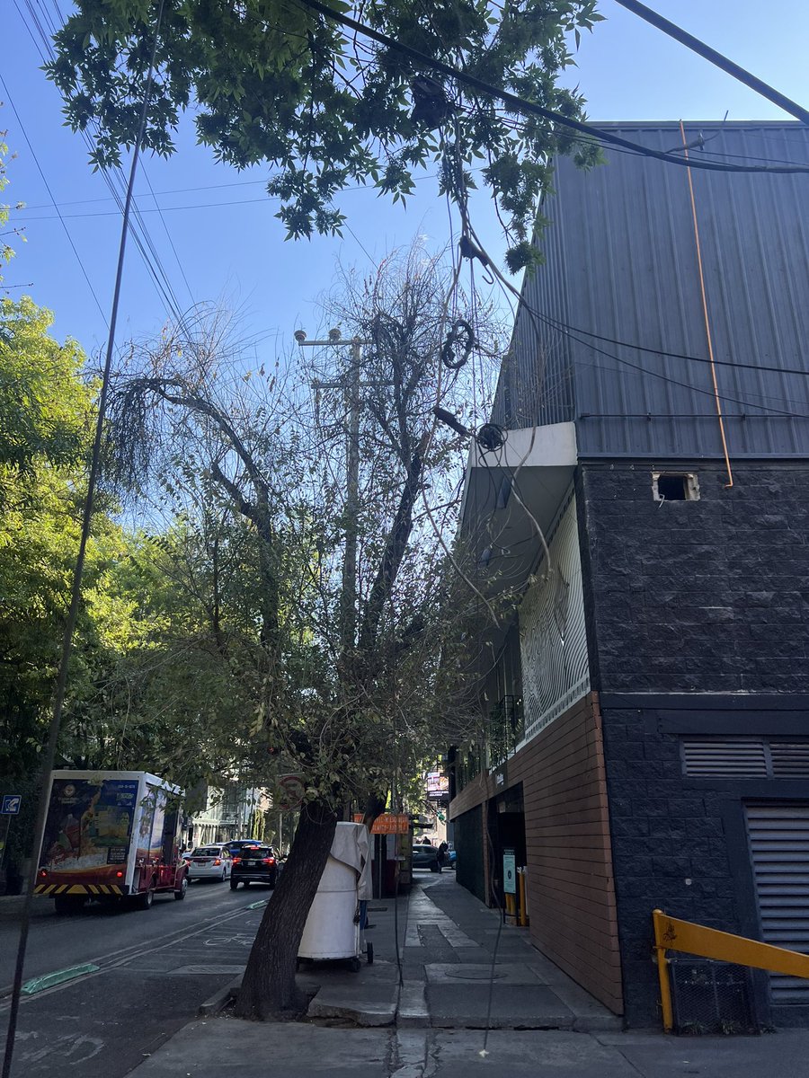 PoliceClimate's tweet photo. @SandraCuevas_ si vas a arreglar todo el sistema de cableado muerto de toda la roma condesa, y Guerrilla? O solo te importa joderte a los restauranteros? https://t.co/KGEG9RwZfq