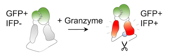 Blake Smith tweet media