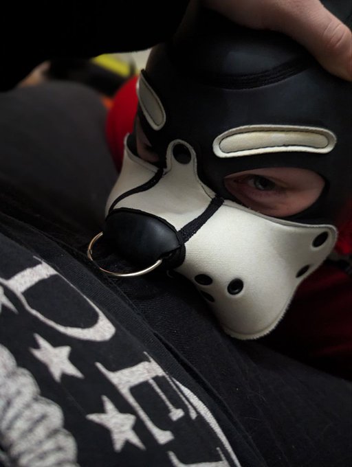 Awoo. #PupPlay #PupSpace #NSFW https://t.co/5lgZvmbryS<a href="/tag/pupplay"class="tags">#PupPlay</a><a href="/tag/pupspace"class="tags">#PupSpace</a><a href="/tag/nsfw"class="tags">#NSFW</a>