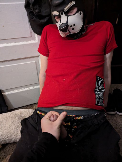 Awoo. #PupPlay #PupSpace #NSFW https://t.co/5lgZvmbryS<a href="/tag/pupplay"class="tags">#PupPlay</a><a href="/tag/pupspace"class="tags">#PupSpace</a><a href="/tag/nsfw"class="tags">#NSFW</a>