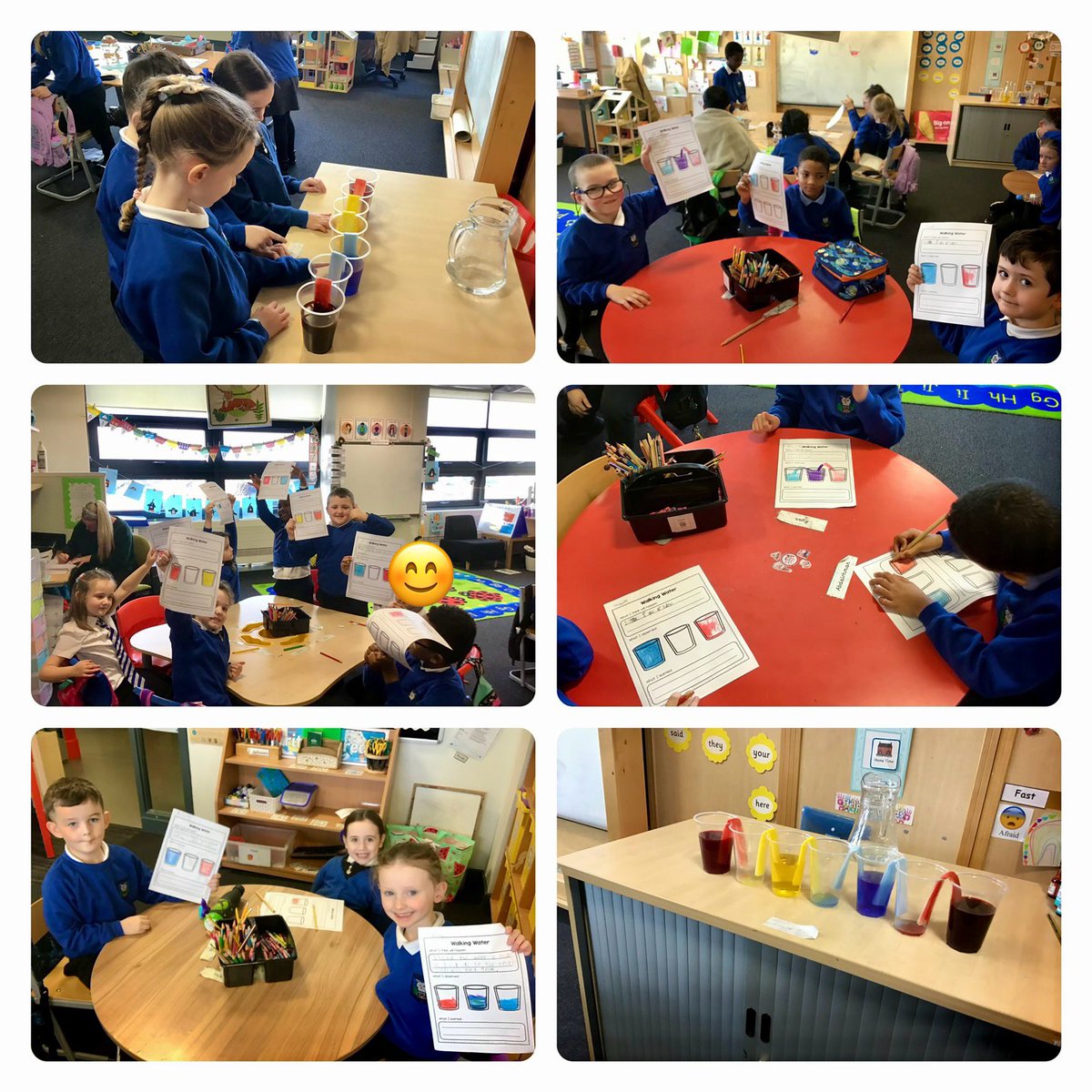 MissSinclair26's tweet photo. @saracenprimary 
Primary 2/3 had great fun with the ‘walking rainbow’ experiment in science. They used prediction skills to show what they thought would happen next. 🧪 🌈 🧠 Well done! https://t.co/LYJzkzDypU