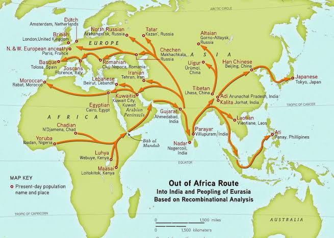 hhr05's tweet image. There is one DNA strand...that has travelled around the world before you were born. The First Order of Human Beings.

#LearnFirst