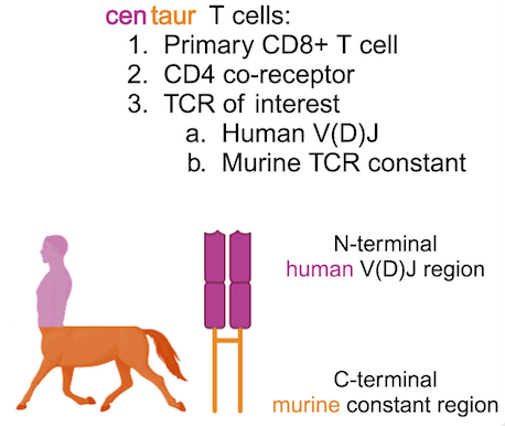 Blake Smith tweet media
