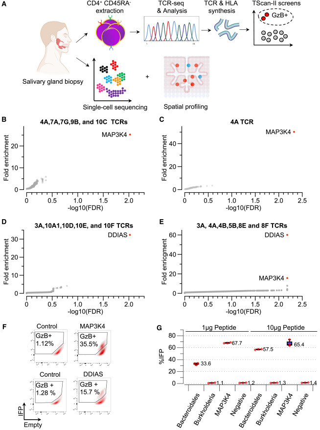 Blake Smith tweet media