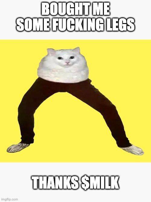 Beat Happening tweet media