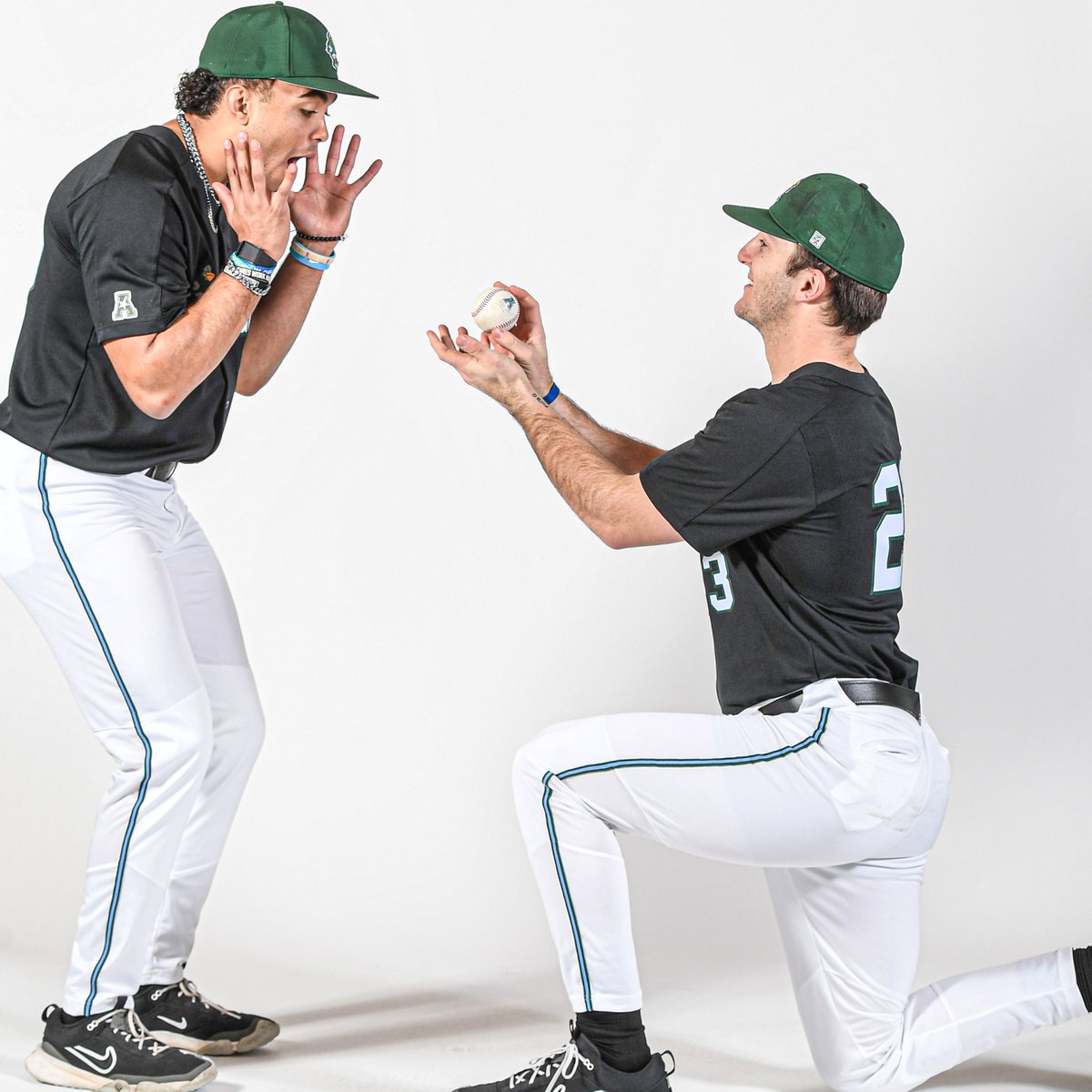 GreenWaveBSB tweet picture