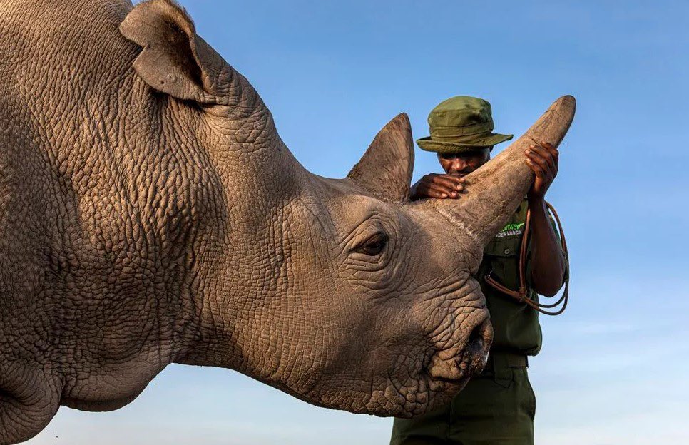 Posts with replies by Matjaz Krivic (@MatjazKrivic) / X