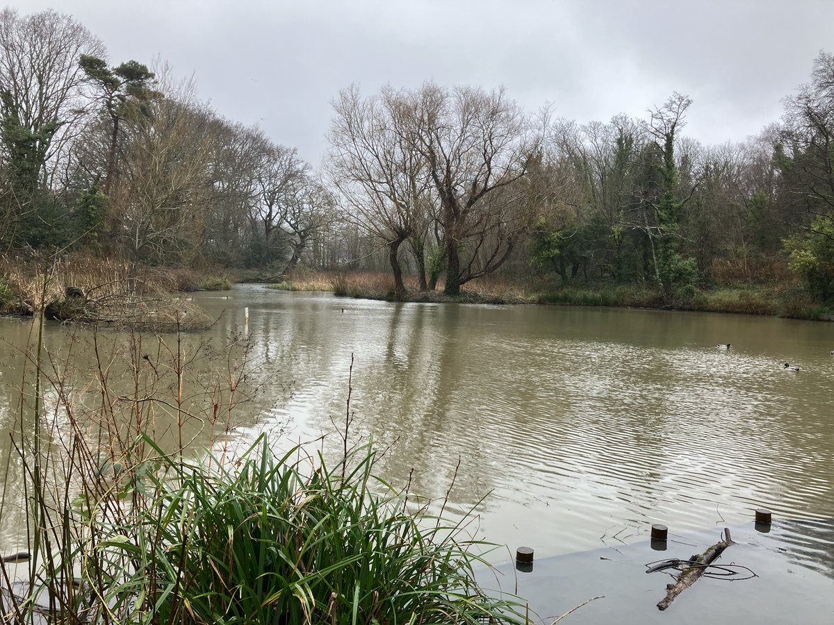 Our Fisheries Officers have been at Millers Pond in #Southampton today. 

Over a 1000 #fish, including crucian carp, rudd &amp; tench were transported from our #Calverton fish farm in Nottingham today. 

All made possible by the purchase of your rod licence. 🎣🐟
<a href="/SouthamptonCC/">SouthamptonCC</a>