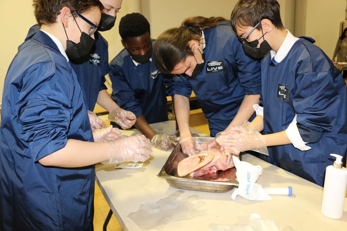 Nucleus STEM Stream tweet media