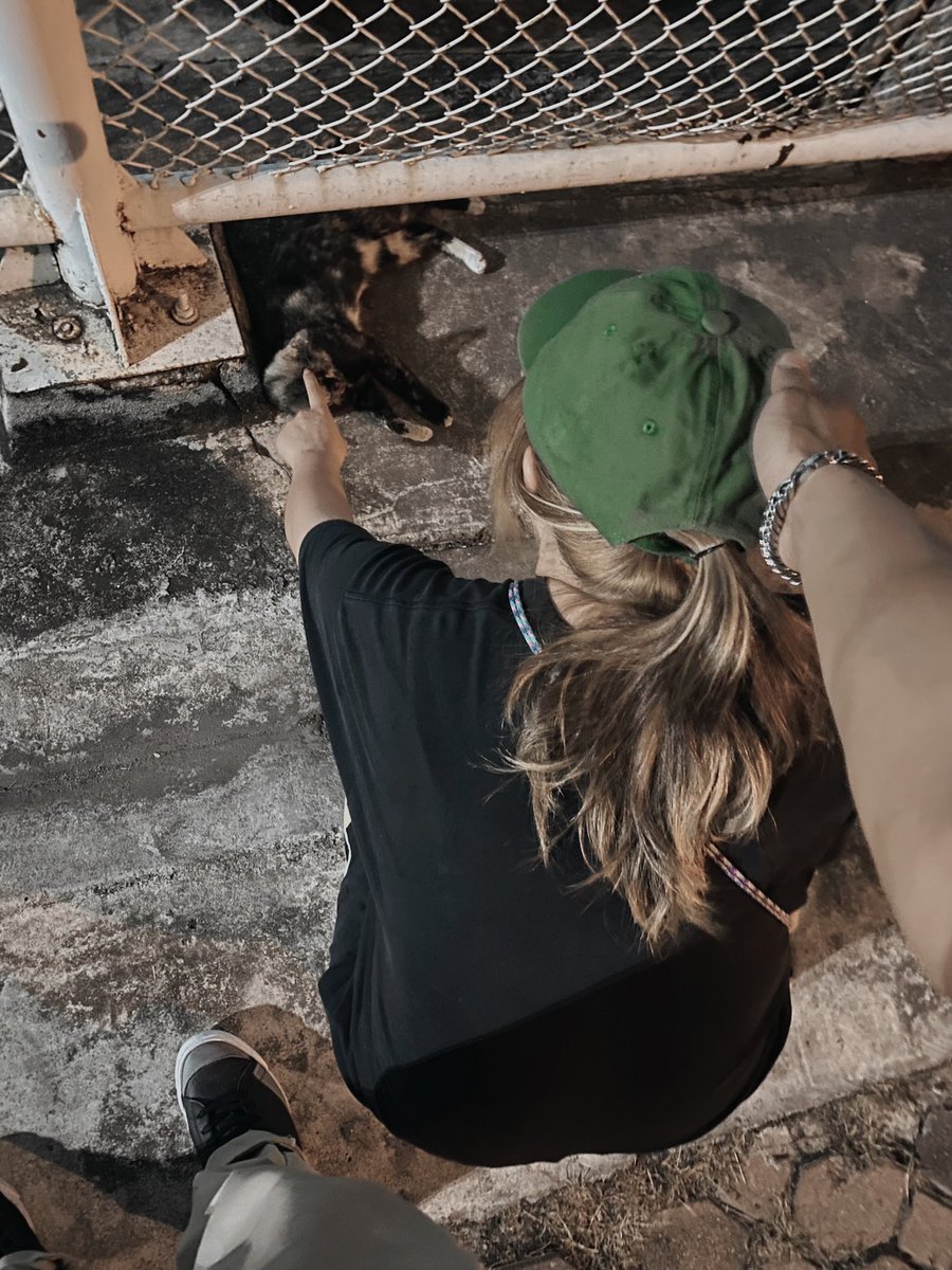 Bankosixter's tweet image. ~ in luv w this girl 🩵