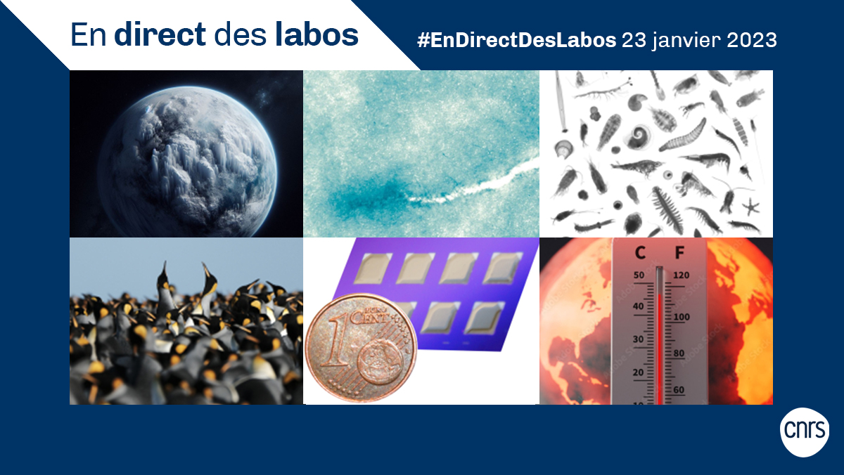 #EnDirectDesLabos 🔎 Nouvelles actualités scientifiques 🔬, distinctions 🏅... Retrouvez toutes les deux semaines les informations issues des laboratoires du <a href="/CNRS/">CNRS 🌍</a>.

👉 cnrs.fr/endirectdeslab…