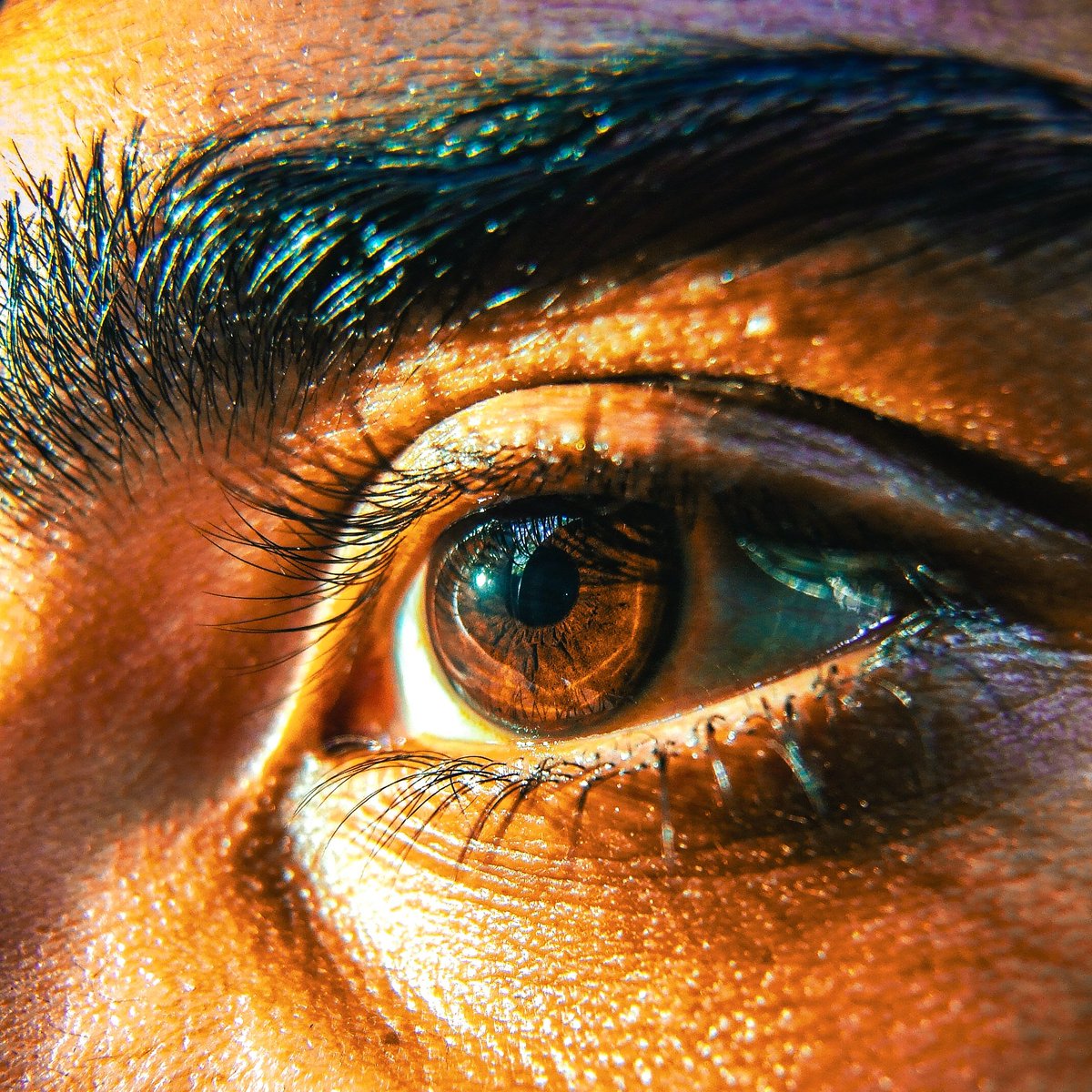 SyedShaheeer's tweet photo. In a world full of blue, your brown eyes are a precious rarity. 🤎💥 https://t.co/kKv7cBytFl