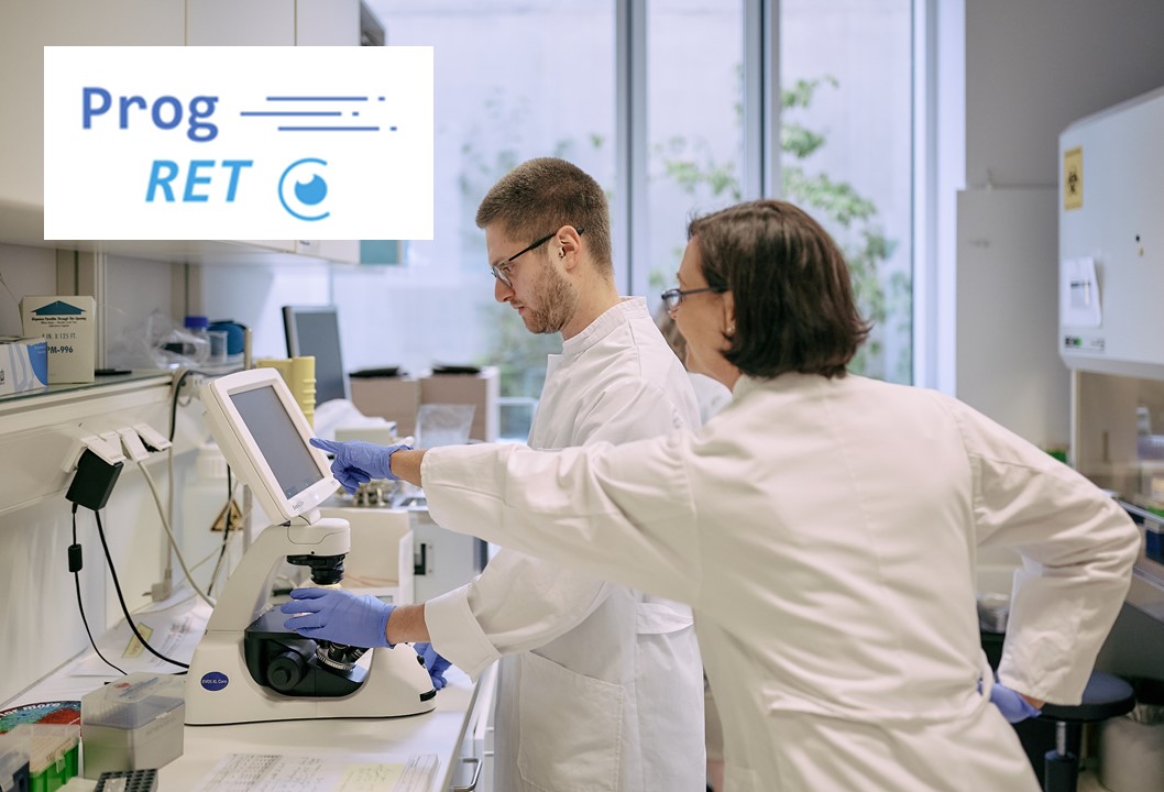 Institute for Ophthalmic Research Tübingen tweet media