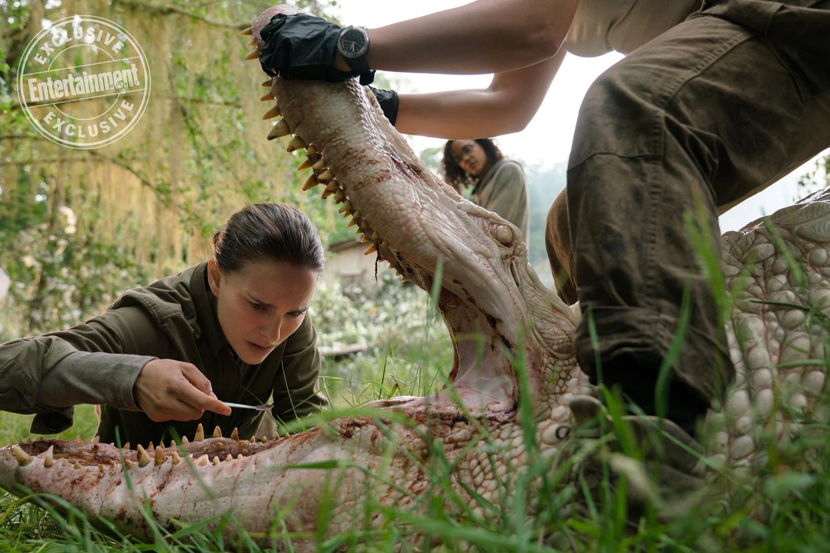 EcranLarge's tweet image. Ça fait débat, mais : y'a un fan club dans l'équipe #Annihilation #Netflix #AlexGarland