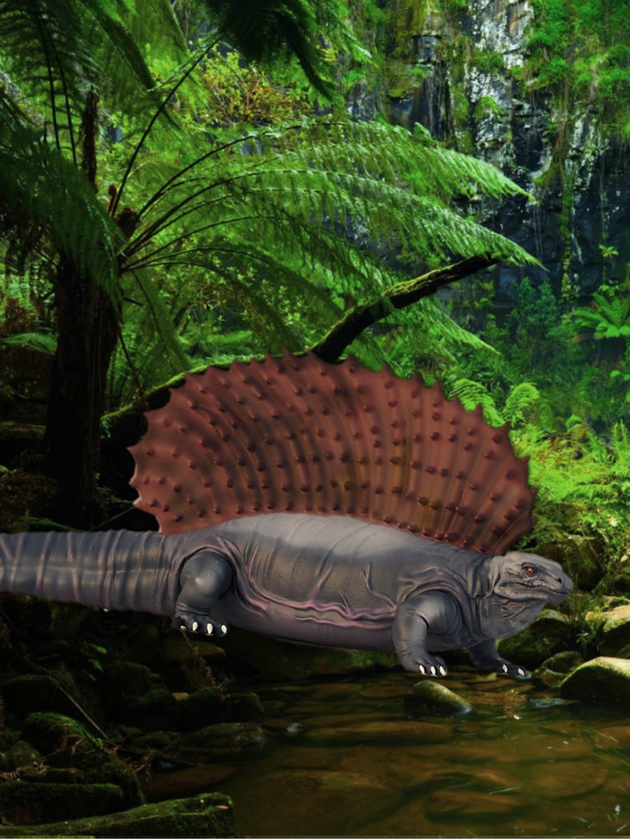 Opening this Saturday is our Carboniferous Monsters: 100 million years before the Dinosaurs’ exhibition. Meet the dinosaurs’ distant ancestors! Tickets – Adults £6, Children £3, Concessions £3, under 5’s free #VisitStoke #SoTCityCouncil