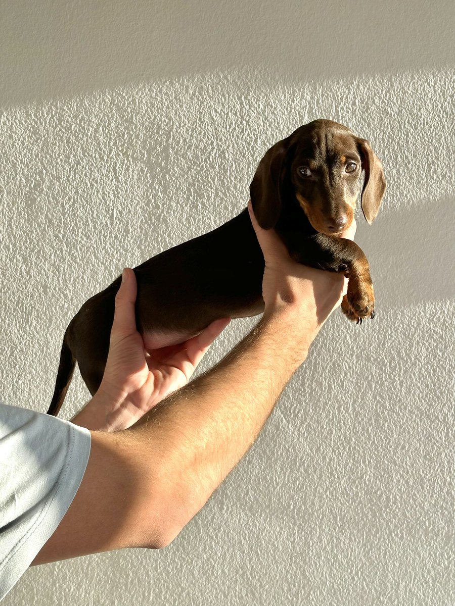 AlexChiner's tweet photo. bueno pues uno más en la familia… https://t.co/Obe2vdQ2kr