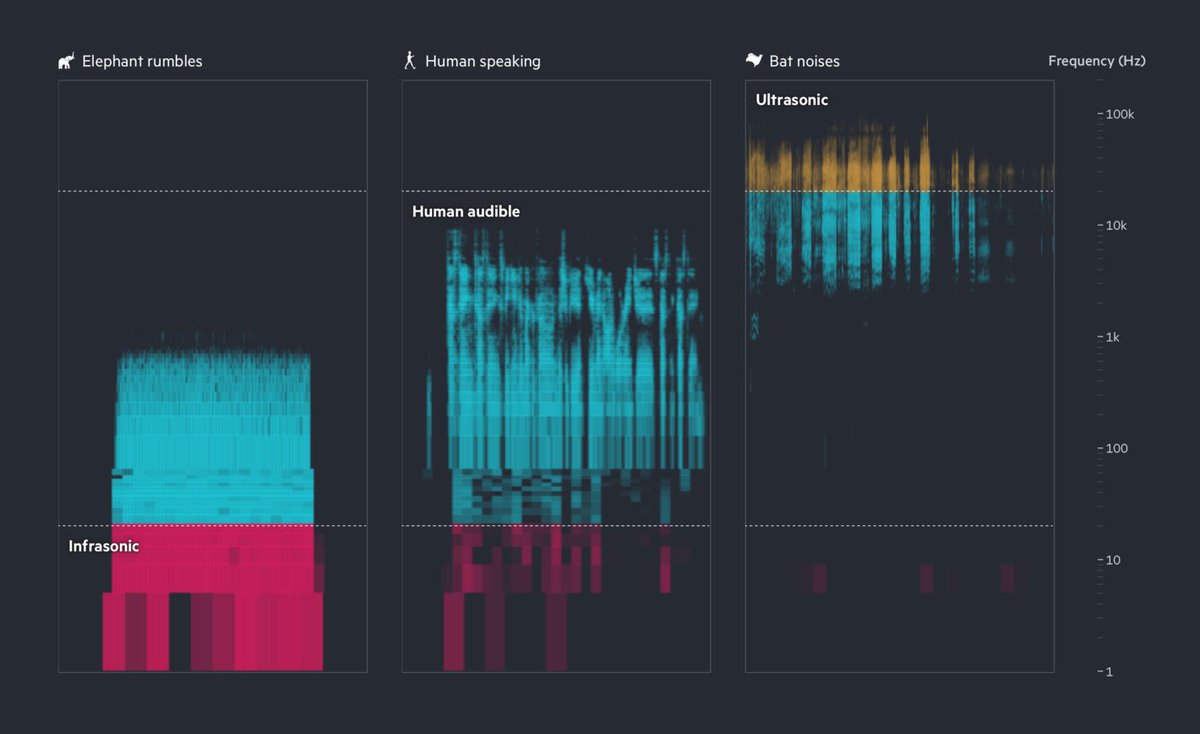 Datawrapper tweet media