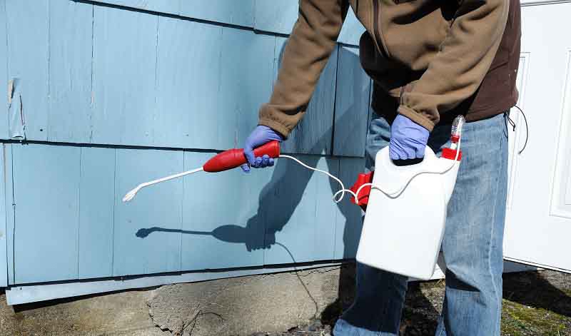 FloridaControl's tweet photo. Our experienced animal trappers have the expertise and resources to identify and eliminate nuisance from your property quickly and cost-effectively. Learn more about our pest control service by visiting our website!

#PestControl #AnimalTrappers https://t.co/CNSdZm3kVb https://t.co/EeFRTwPGcd