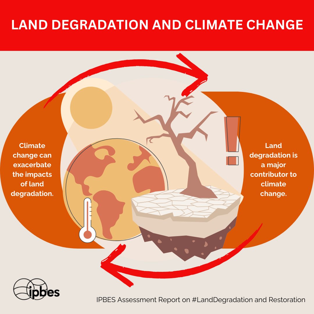 DYK there is a connection between #ClimateChange and #LandDegradation? 🤔

It is vital to address the climate and #biodiversity crises simultaneously.

Read the <a href="/IPBES/">ipbes</a> Assessment Report on Land Degradation and Restoration: ipbes.net/assessment-rep…