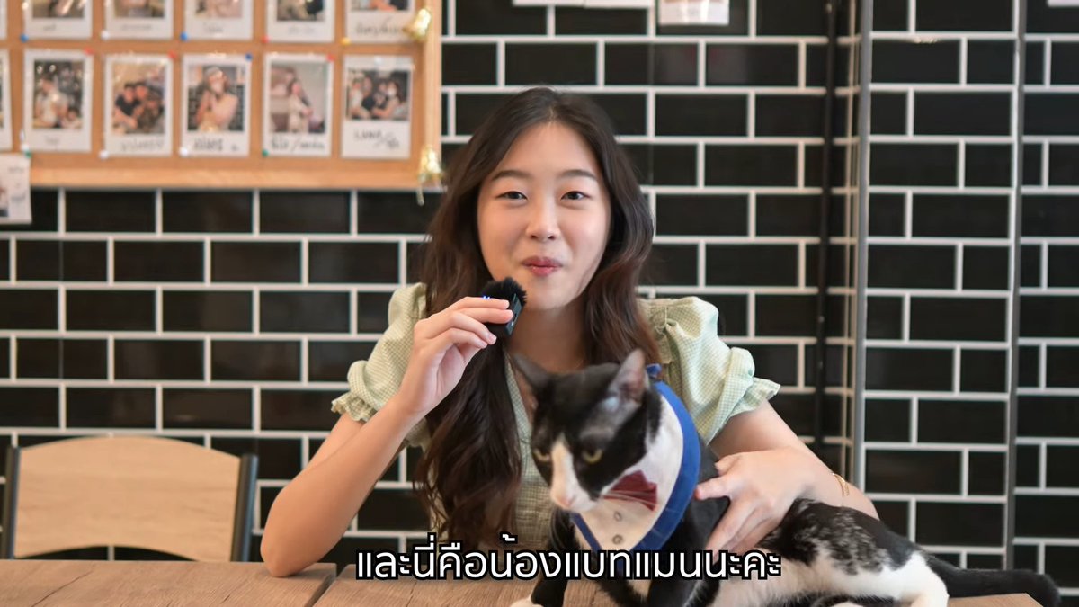 jokermaster619's tweet image. ฟังแล้วอบอุ่นใจมากครับ อยากให้น้องแมวจรมีบ้านที่อบอุ่นทุกตัวเลยครับ^^
.
youtu.be/WHZ0yHswm3s?si…
.
ใครสนใจหาน้องแมว สามารถติดต่อไปได้เลยนะครับ แวะไปเล่นกับน้องกันครับ^__^
.
#GPStrackingyou #GunjiiSpecialProjectforCat #อยู่ตรงนั้น_ฺBethere