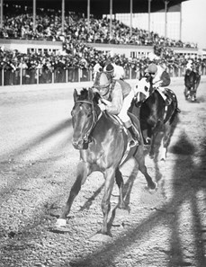HORSERACING1002's tweet photo. DR. FAGER🇺🇸1964
(ROUGH'N TUMBLE  - ASPIDISTRA BY BETTER SELF)
#DrFager
B/O William McKnight (Tartan Farms) [Fl]Apr 6, 1964.
T/ John Nerud
22-18-2-1--
$1,002,642
1967 champion 🏆 Sprinter,
1968 champion 🏆 Sprinter, Champion older horse, Champion turf horse, &amp; horse of the year 🇺🇸 https://t.co/eF5H3Gh2BJ
