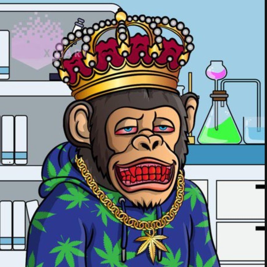 chimps_xrpl's tweet photo. CHIMPS rumble will be starting in around 2 hours time in our discord make sure to join our discord and join in the fun 🐒

(Roughly 6pm uk time)

https://t.co/ihiijY4wFk

#XRP #XRPL #NFTs https://t.co/Fq3dRUckQ0